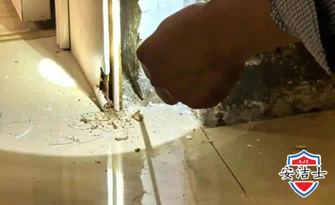 温州房屋建筑防治白蚁