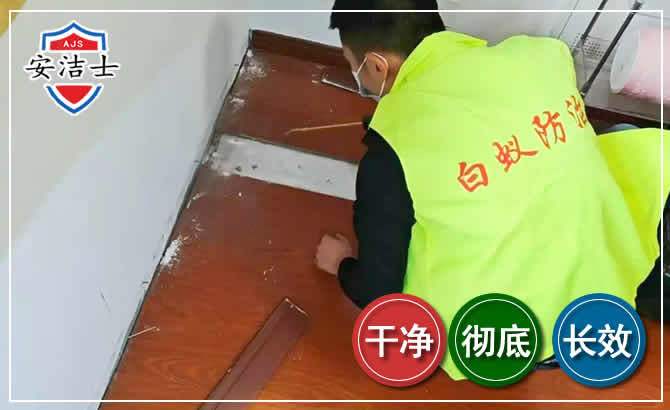 温州除四害现场