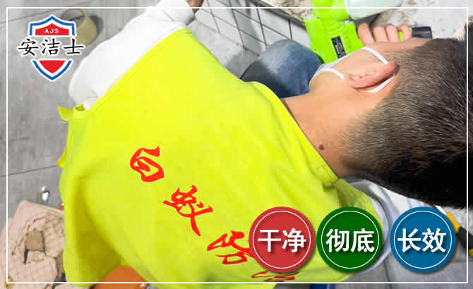 温州白蚁根治现场